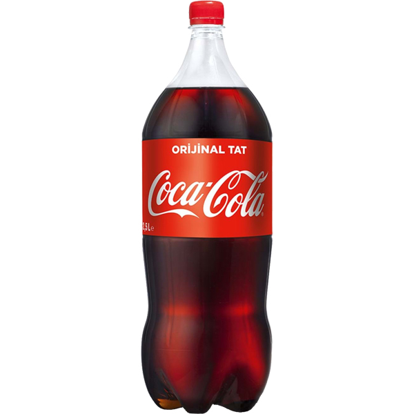 COCA COLA 2,5 ÇEŞİTLERİ