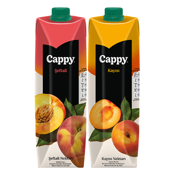 CAPPY TETRA 1 LT ÇEŞİTLERİ